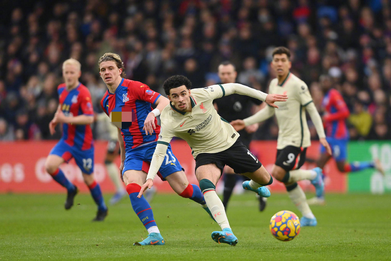 他们的比赛 他们的比赛